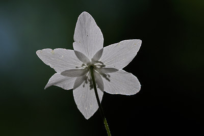 BUITEN BEELD Foto: 65553