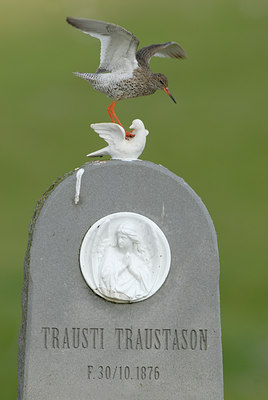 BUITEN BEELD Foto: 65569