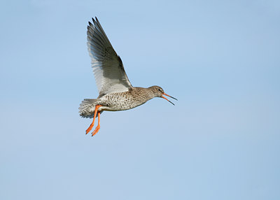 BUITEN BEELD Foto: 65574