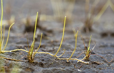 BUITEN BEELD Foto: 65613