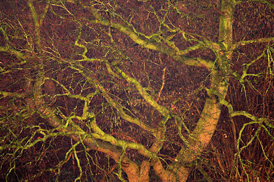 BUITEN BEELD Foto: 65617