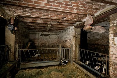 BUITEN BEELD Foto: 65656