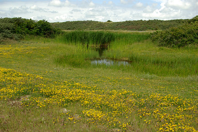 BUITEN BEELD Foto: 65746