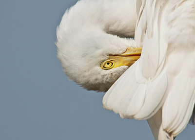 BUITEN BEELD Foto: 65839