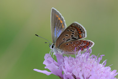 BUITEN BEELD Foto: 65884