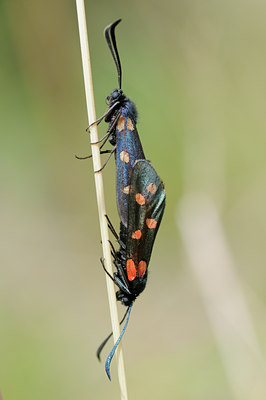 BUITEN BEELD Foto: 65886