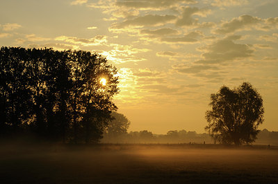BUITEN BEELD Foto: 65950