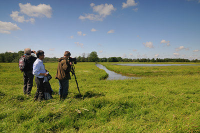 BUITEN BEELD Foto: 65956