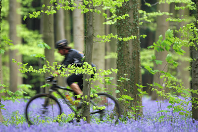 BUITEN BEELD Foto: 66008