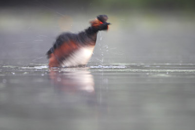 BUITEN BEELD Foto: 66017