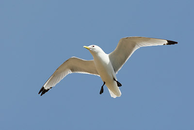 BUITEN BEELD Foto: 66021