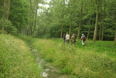 BUITEN BEELD Foto: 66037