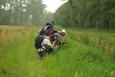 BUITEN BEELD Foto: 66040