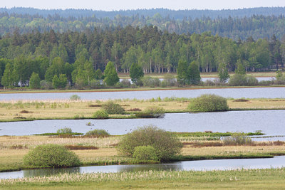 BUITEN BEELD Foto: 66045