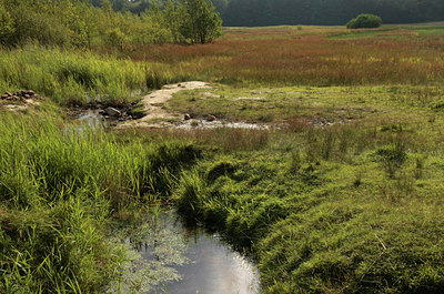 BUITEN BEELD Foto: 66084