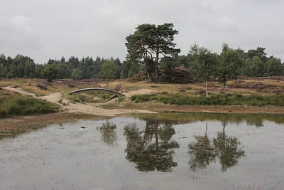 BUITEN BEELD Foto: 66086