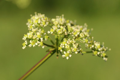 BUITEN BEELD Foto: 66104