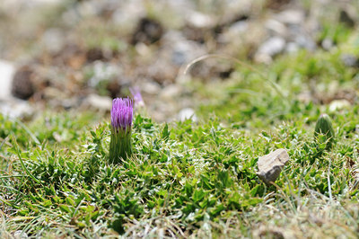BUITEN BEELD Foto: 66112