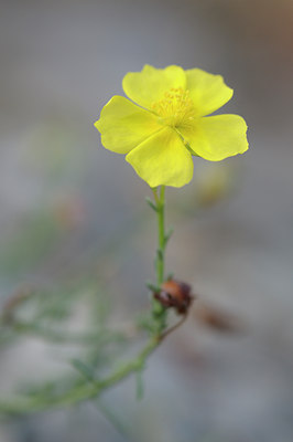 BUITEN BEELD Foto: 66117