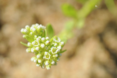 BUITEN BEELD Foto: 66138