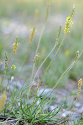 BUITEN BEELD Foto: 66157