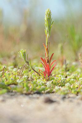 BUITEN BEELD Foto: 66163