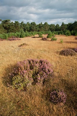 BUITEN BEELD Foto: 66170