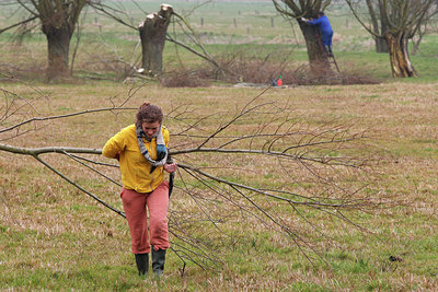 BUITEN BEELD Foto: 66206