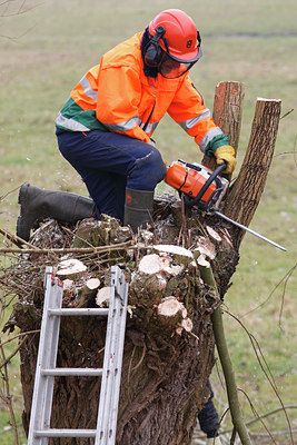 BUITEN BEELD Foto: 66211
