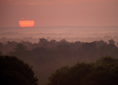 BUITEN BEELD Foto: 66256