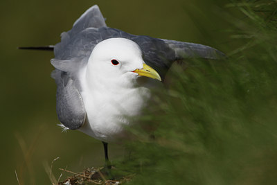 BUITEN BEELD Foto: 66260