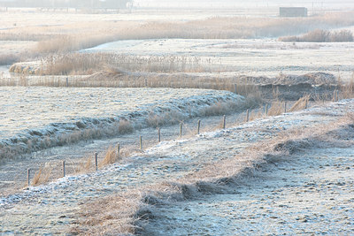 BUITEN BEELD Foto: 66268