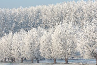 BUITEN BEELD Foto: 66277