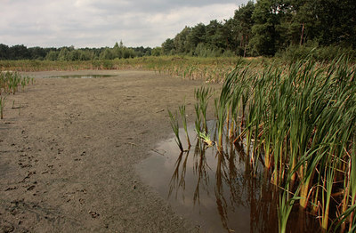 BUITEN BEELD Foto: 66278