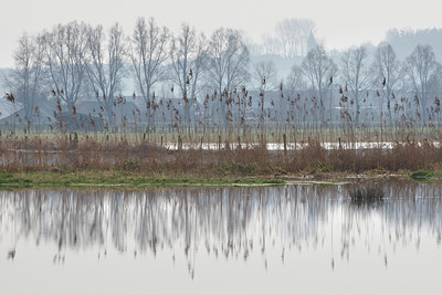 BUITEN BEELD Foto: 66282