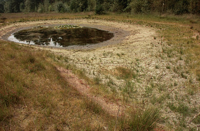 BUITEN BEELD Foto: 66301