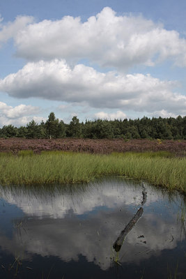 BUITEN BEELD Foto: 66313