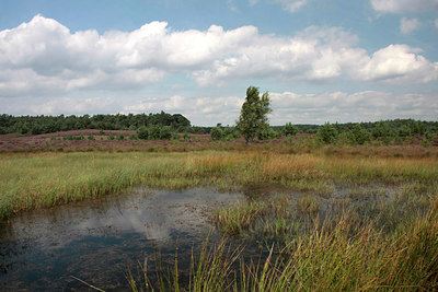 BUITEN BEELD Foto: 66315