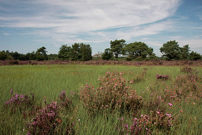 BUITEN BEELD Foto: 66319