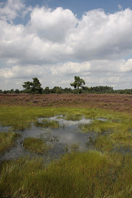 BUITEN BEELD Foto: 66321