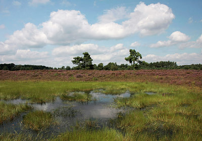 BUITEN BEELD Foto: 66322