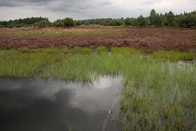 BUITEN BEELD Foto: 66326