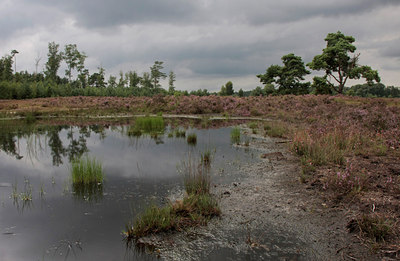 BUITEN BEELD Foto: 66334