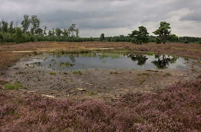 BUITEN BEELD Foto: 66335