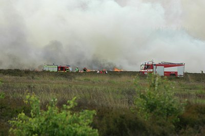 BUITEN BEELD Foto: 66347