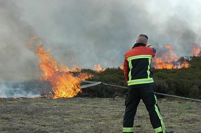 BUITEN BEELD Foto: 66353