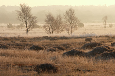 BUITEN BEELD Foto: 66375