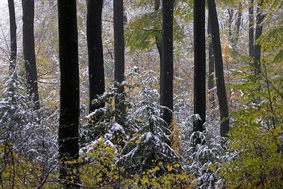 BUITEN BEELD Foto: 66401