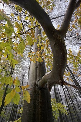BUITEN BEELD Foto: 66405