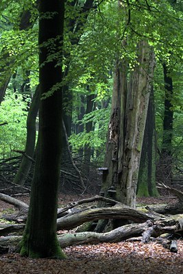 BUITEN BEELD Foto: 66414